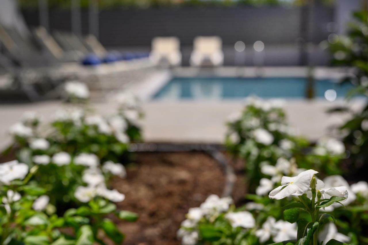 Athina Suites Luxury Suites Near The Sea Platanias Platanés Exterior foto